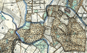 Tranesvænget med angivelse af stendysen på et gammelt kort fra 1842 - 1899 (Grundkort Fyn).