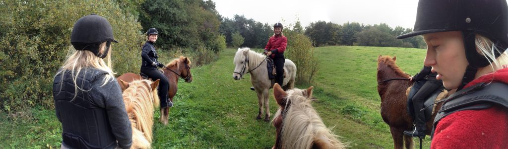 Reitlager während den Herbstferien 2013.