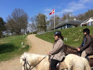 Mit der Turm und die dänische Flagge im Hintergrund von Islandskabsturen 21. April 2014.