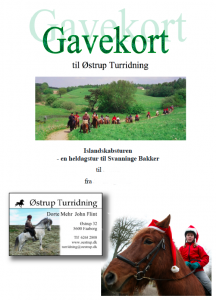 Eksempel på julegavekort.