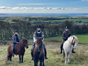 Udsigten fra Trebjerg